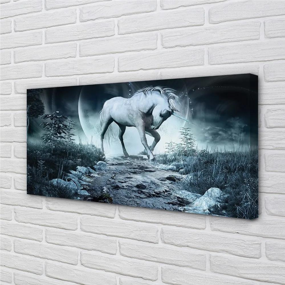 Obraz na plátne Forest Unicorn moon 120x60 cm