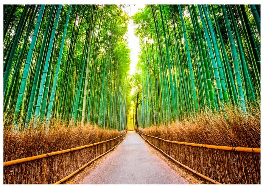Artgeist Fototapeta - Bamboo Forest Veľkosť: 147x105, Verzia: Samolepiaca