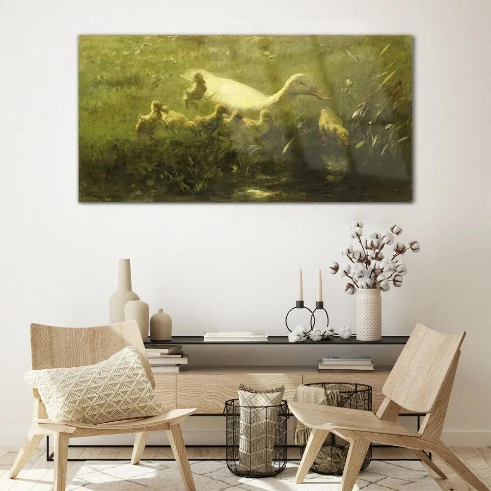 Skleneny obraz Zvieratá kačica tráva príroda