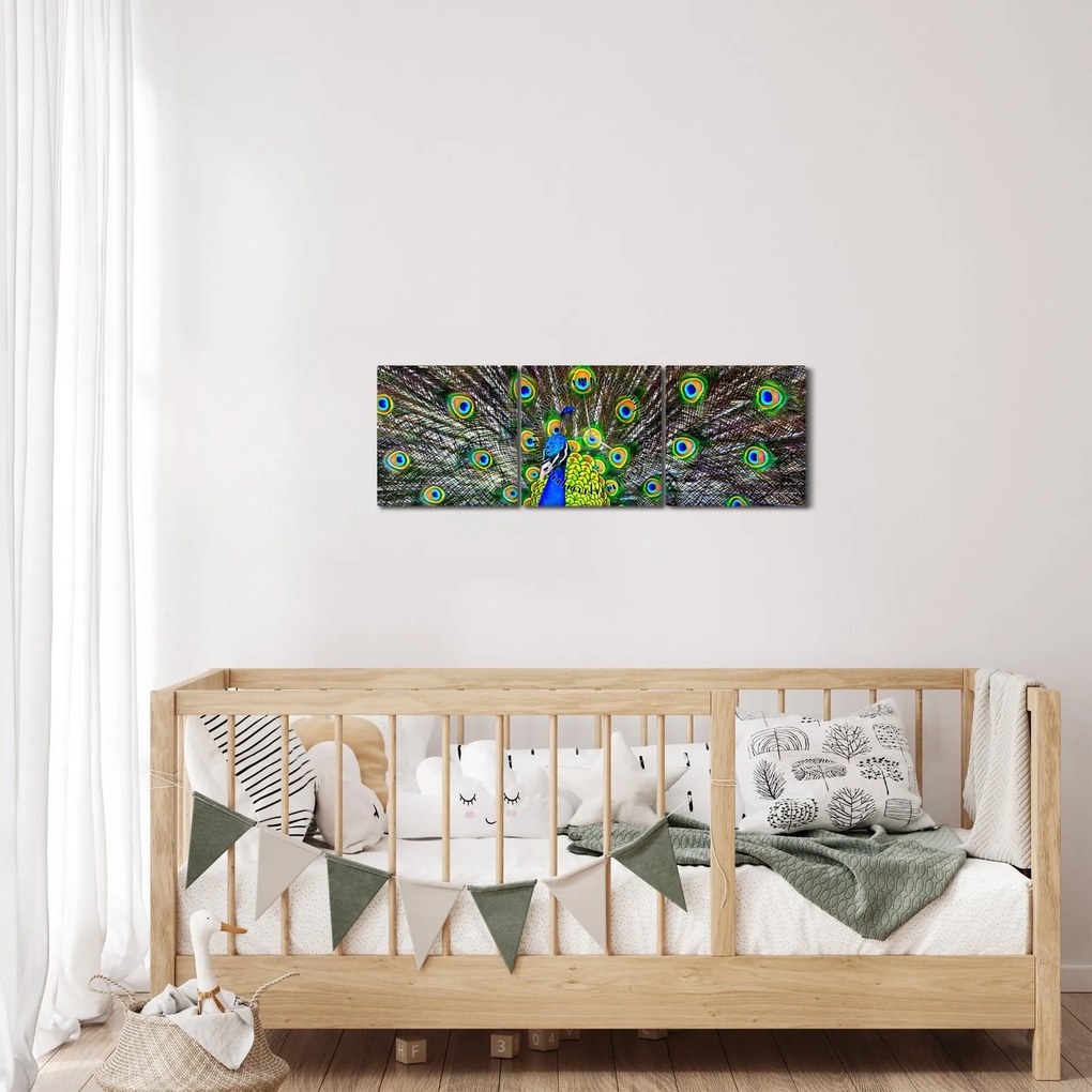 Obraz - Páv (s hodinami) (90x30 cm)