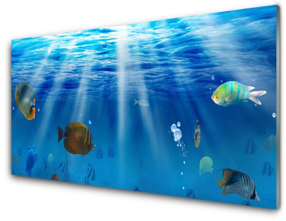 Obraz na akrylátovom skle Ryba príroda 140x70 cm