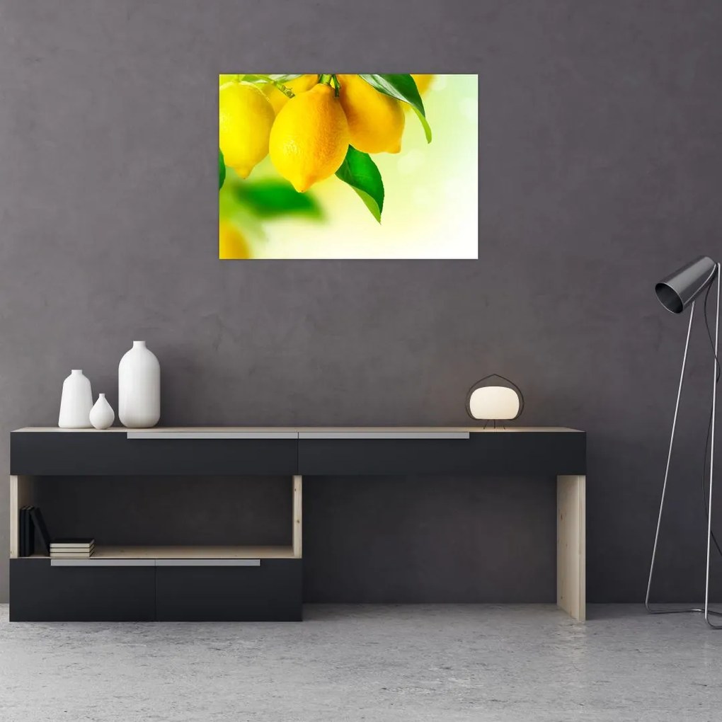 Sklenený obraz citrónov (70x50 cm)