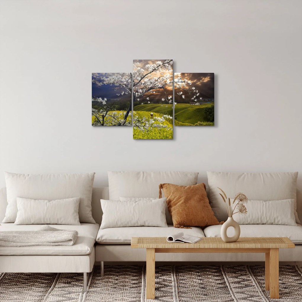 Obraz - Rozkvitnutý strom v krajine (90x60 cm)