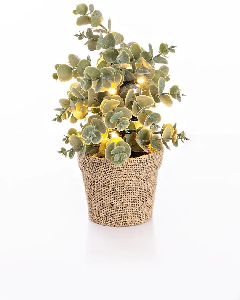 Weltbild LED umelý Eukalyptus v kvetináči