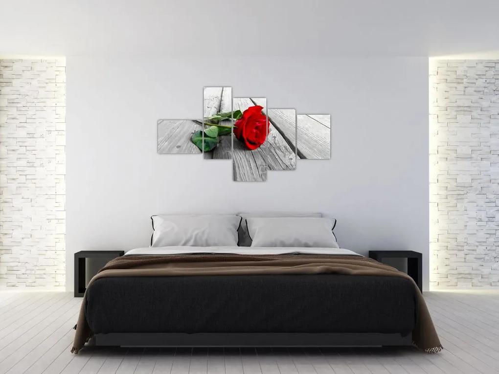 Moderný obraz - ruža