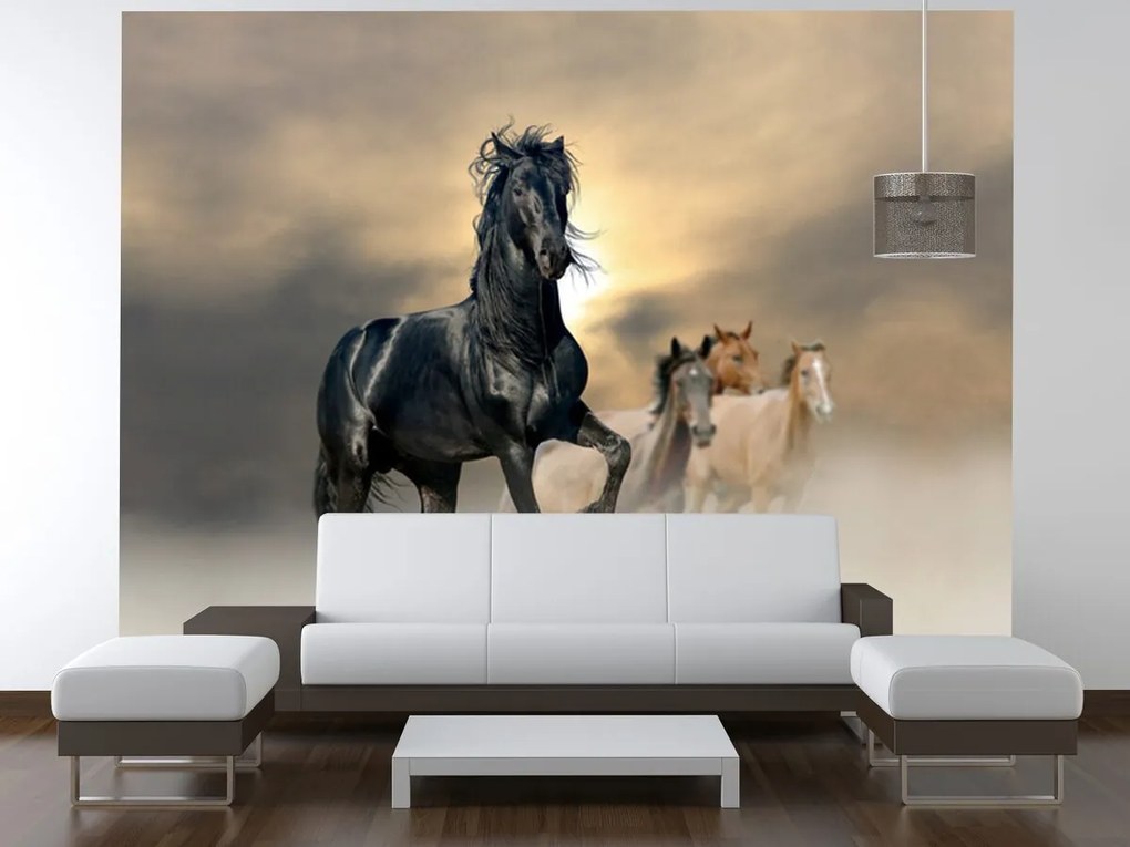 Gario Fototapeta Nádherný čierny kôň Materiál: Samolepiaca, Rozmery: 200 x 135 cm
