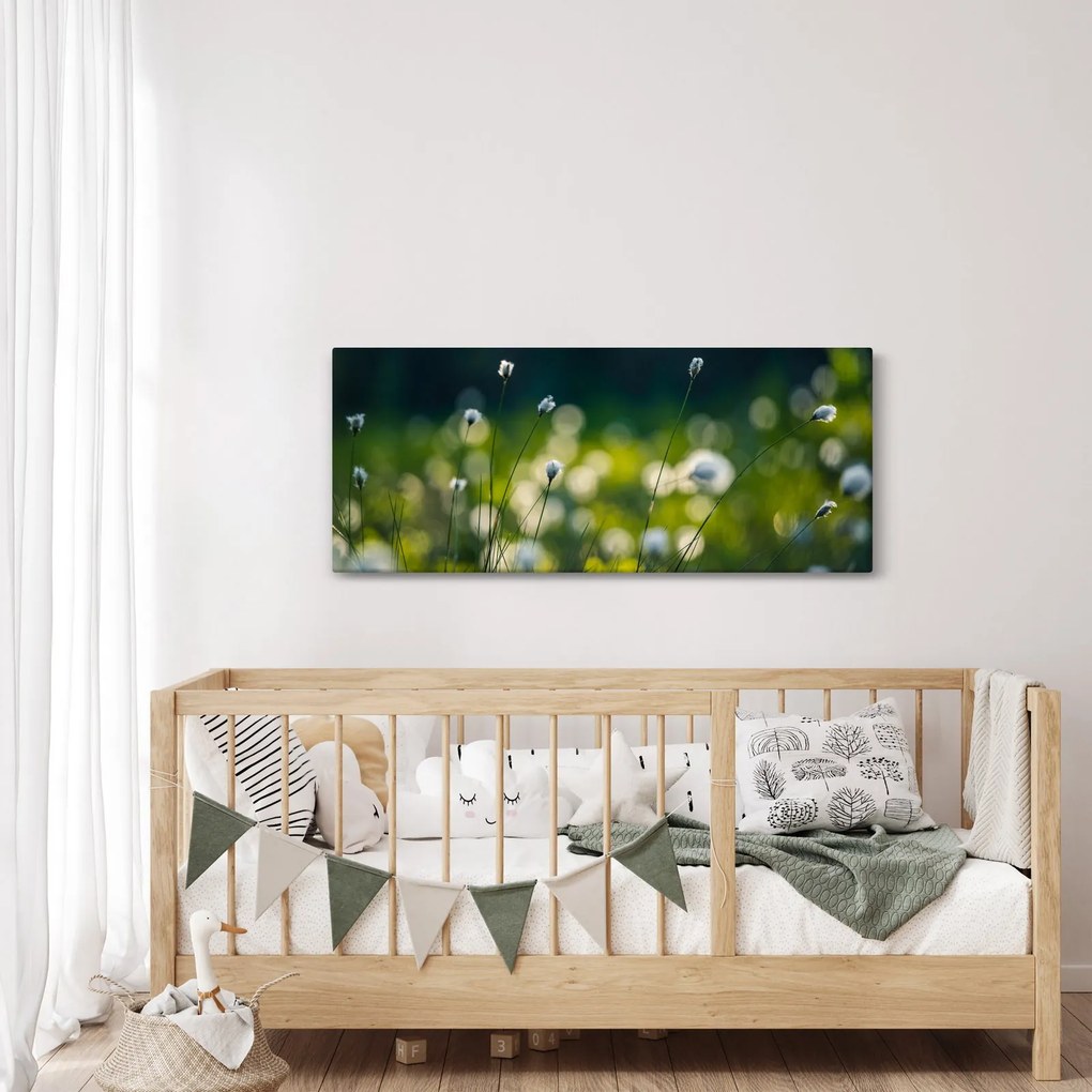 Obraz - Tráva (120x50 cm)