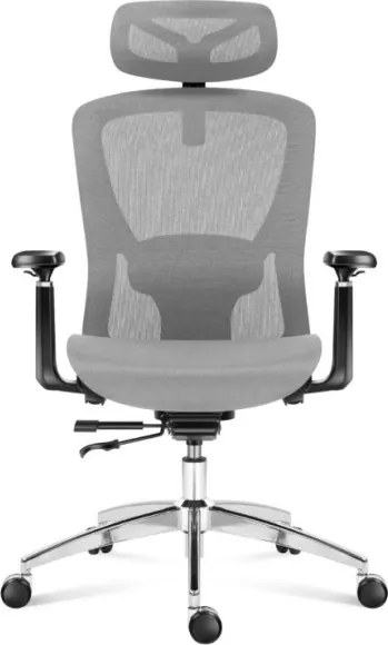 Kancelárska stolička Expert 5.3 Grey Mesh