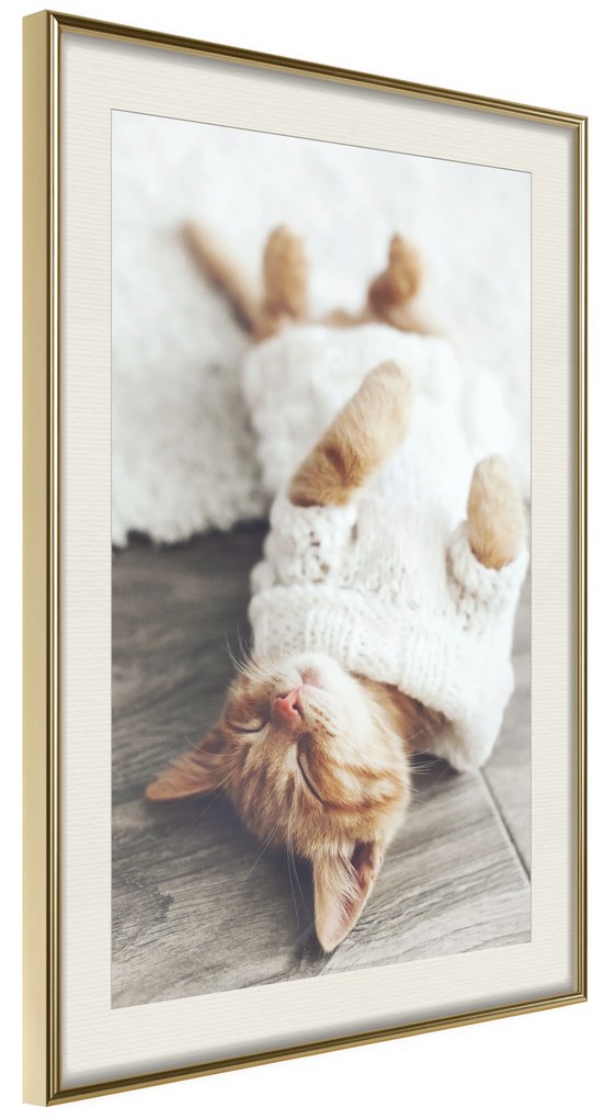 Artgeist Plagát - Lazy Cat [Poster] Veľkosť: 20x30, Verzia: Zlatý rám