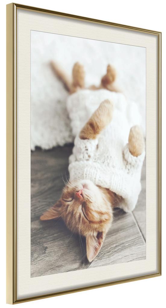 Artgeist Plagát - Lazy Cat [Poster] Veľkosť: 30x45, Verzia: Zlatý rám s passe-partout