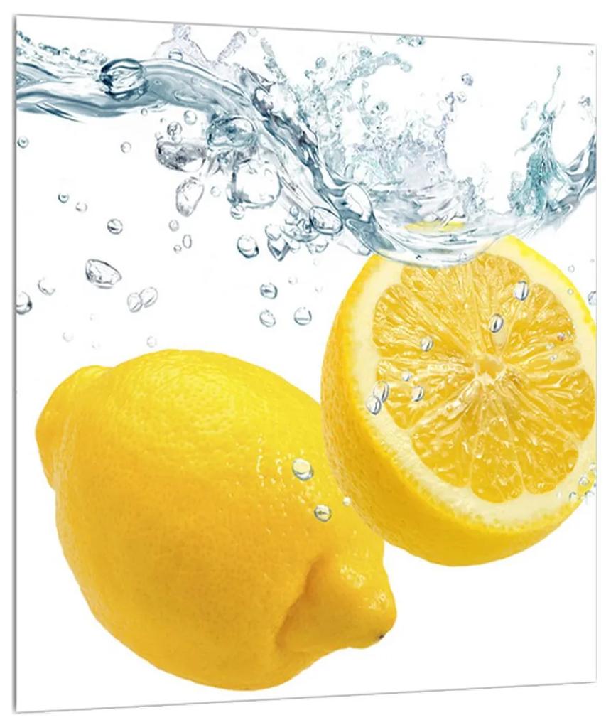 Obraz citrónov (30x30 cm)