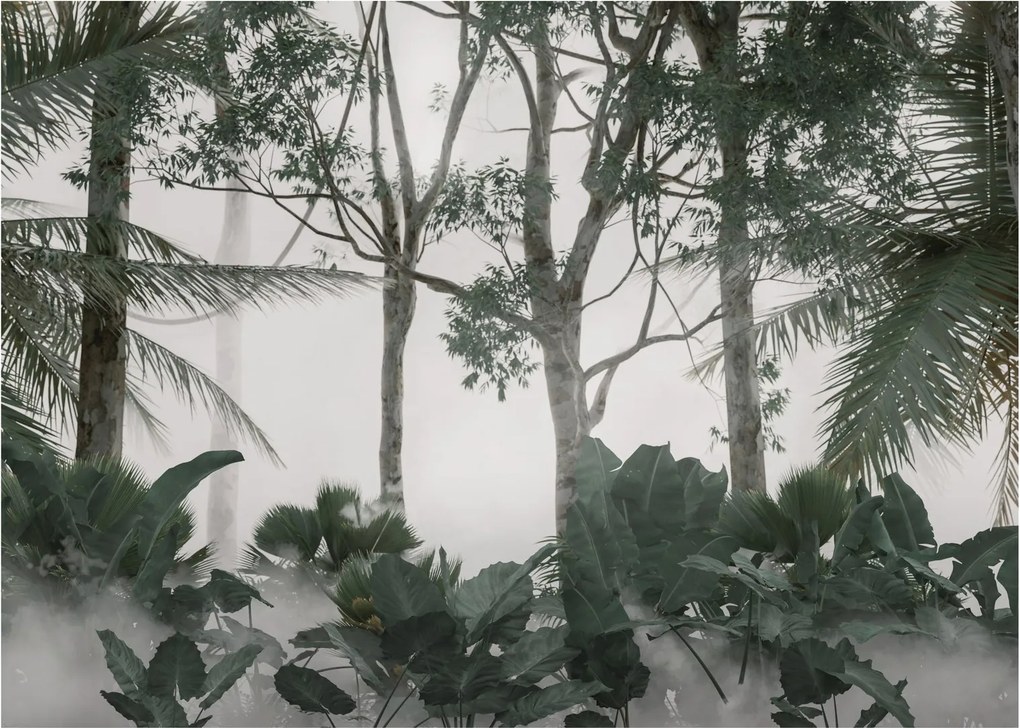 Obraz - Jungle v rannej hmle (70x50 cm)