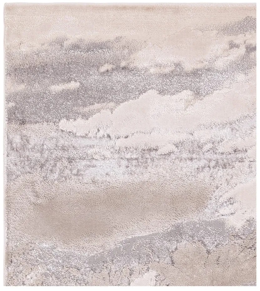 Sivý koberec 290x200 cm Aurora - Asiatic Carpets