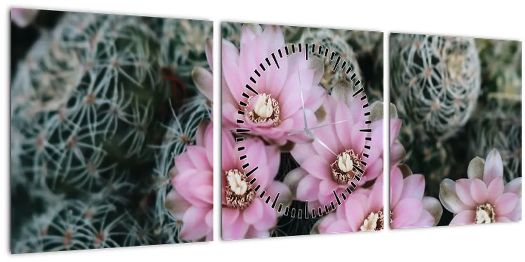 Obraz kvet kaktusu (s hodinami) (90x30 cm)