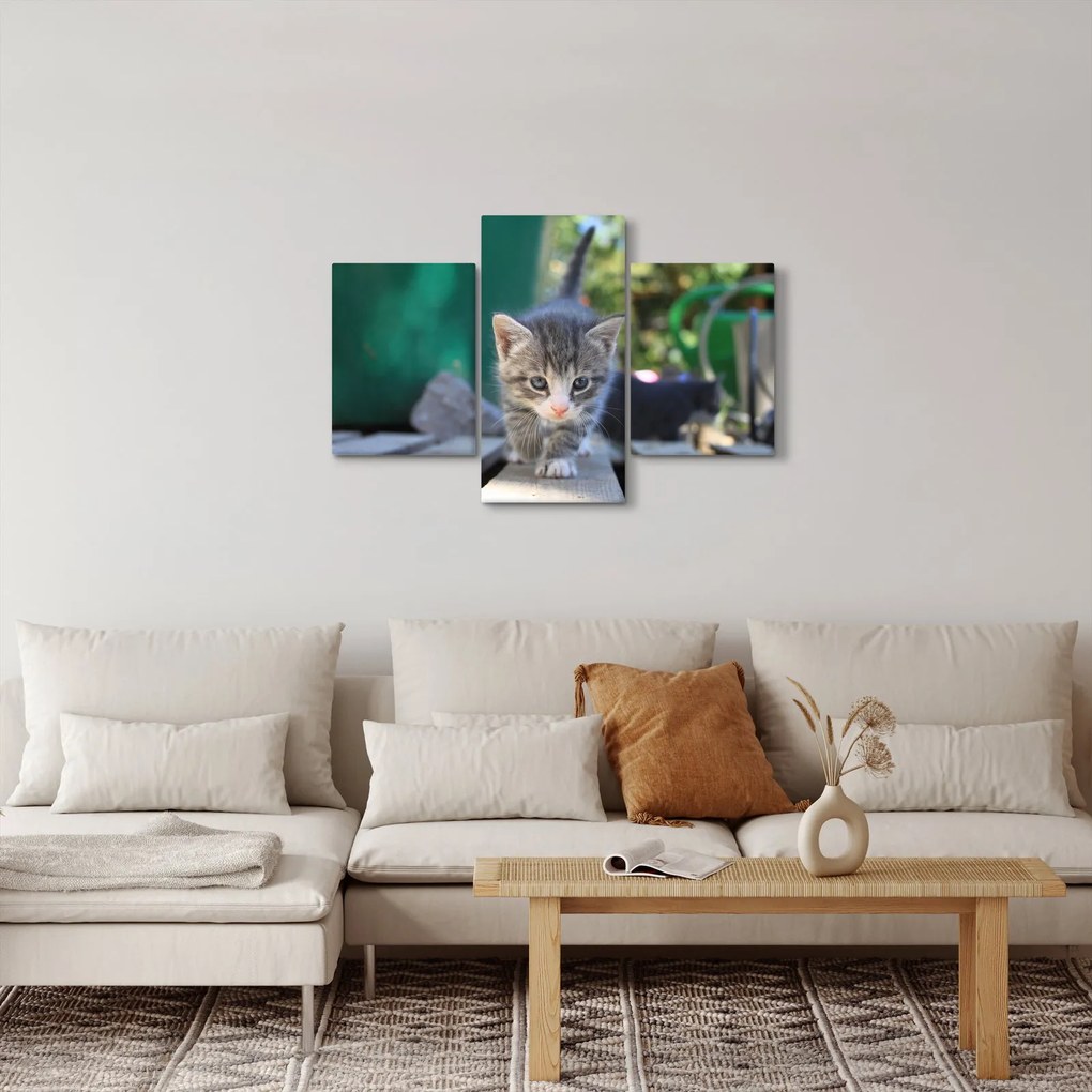 Obraz mačiatka (90x60 cm)