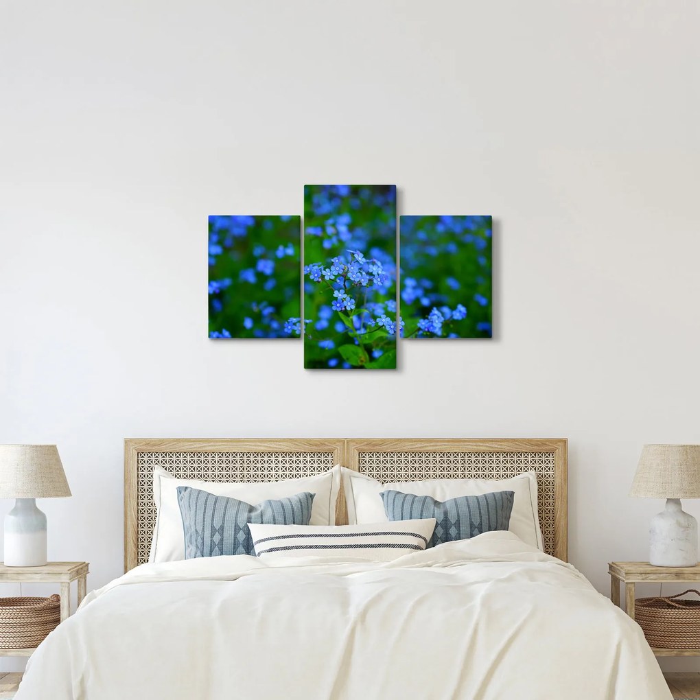 Obraz modrých kvetín (90x60 cm)