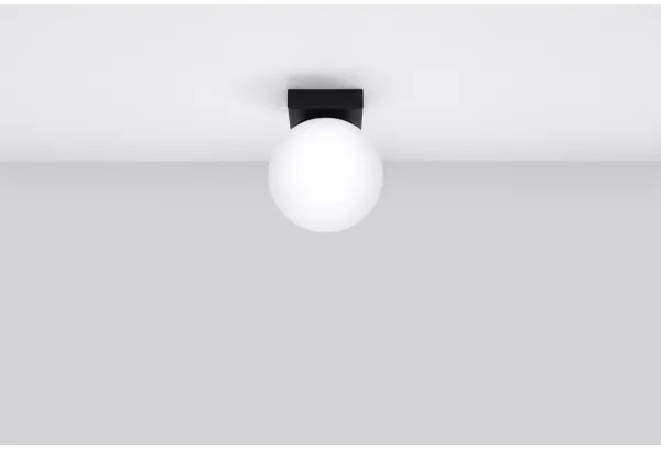 Sollux SL.1151 - Stropné svietidlo YOLI 1xG9/12W/230V čierna