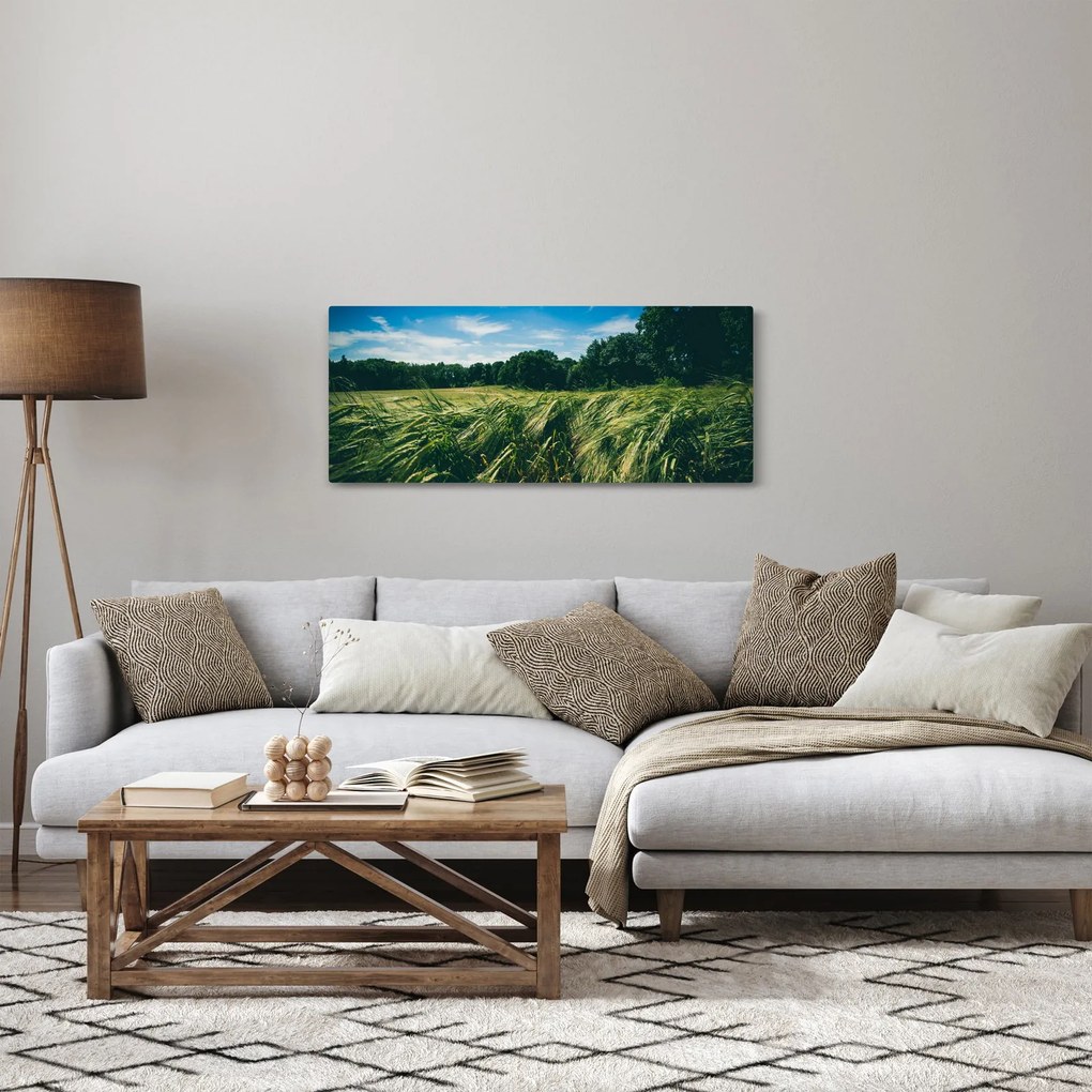 Obraz lúky a lesa (120x50 cm)