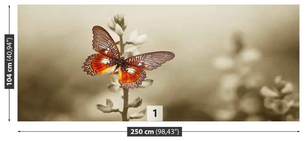 Fototapeta Vliesová Motýľ kvety 152x104 cm
