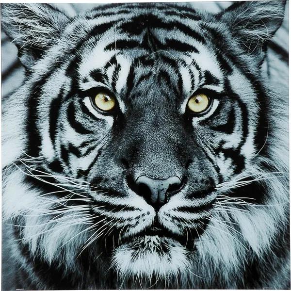 KARE DESIGN Sada 2 ks − Obraz na skle Face Tiger 80 × 80 cm