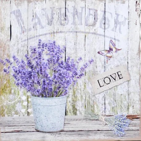 Obraz tlačený na plátne 40x40 PRC970