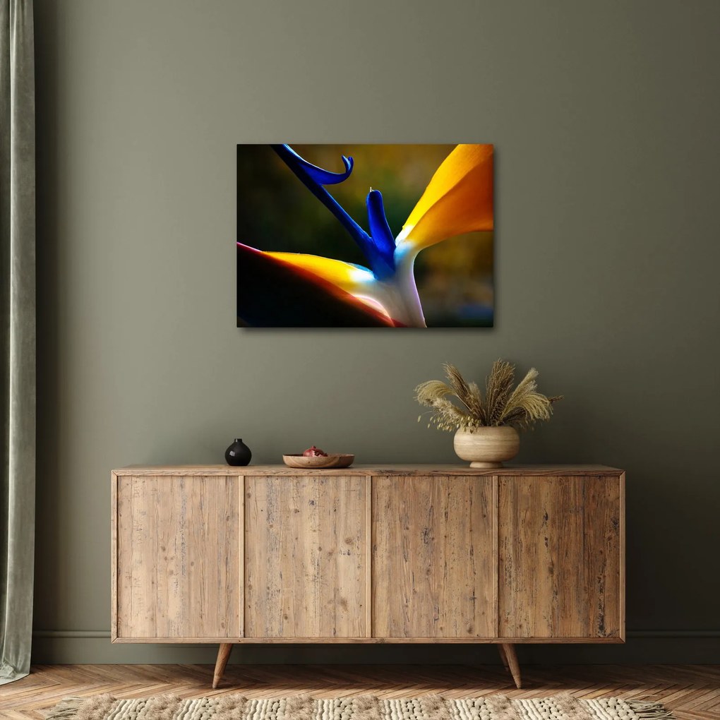 Obraz - Exotický kvet (70x50 cm)