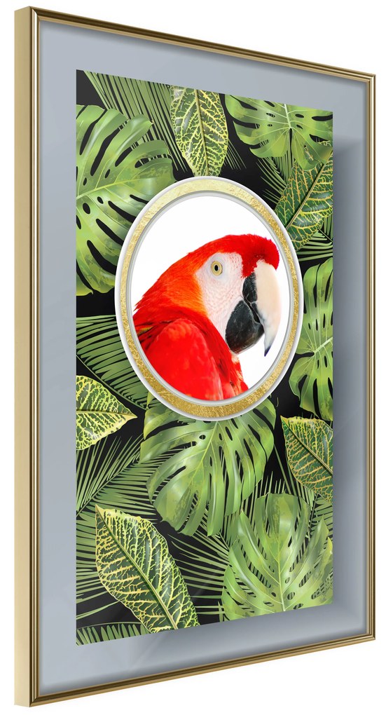 Artgeist Plagát - Parrot In The Jungle [Poster] Veľkosť: 30x45, Verzia: Zlatý rám s passe-partout