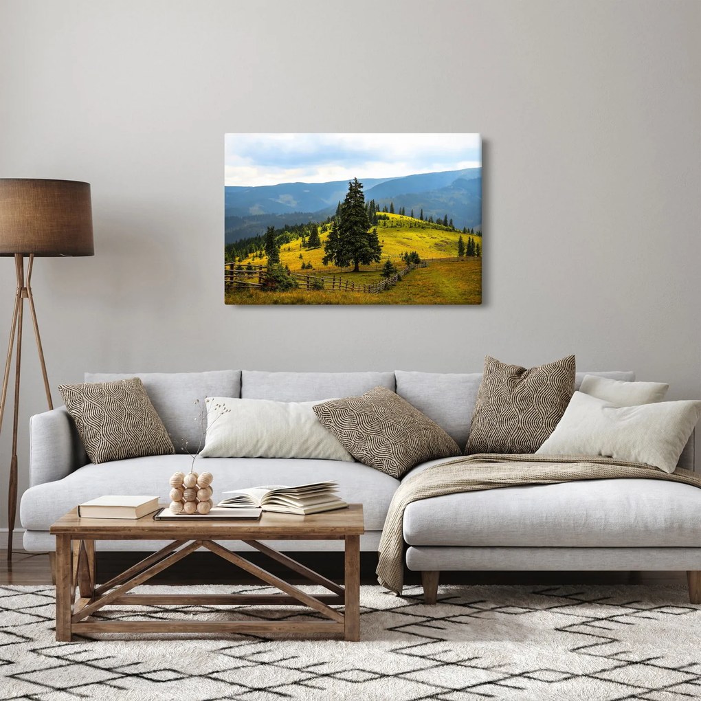 Obraz - Horská lúka (90x60 cm)