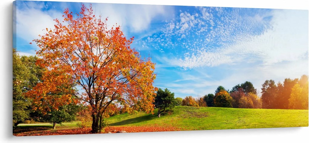 Obraz - Jesenná krajina (120x50 cm)