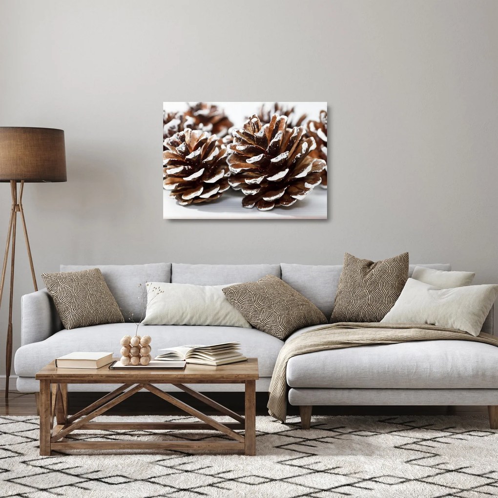 Sklenený obraz - Šišky (70x50 cm)