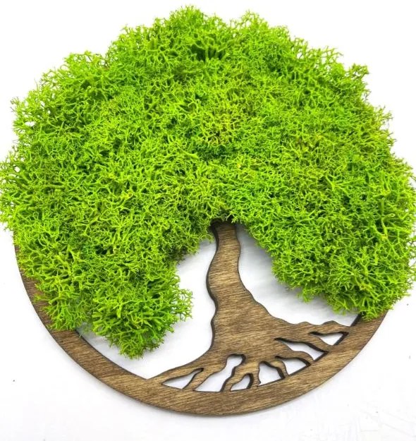 Strom na stenu z machu Faye 20 cm