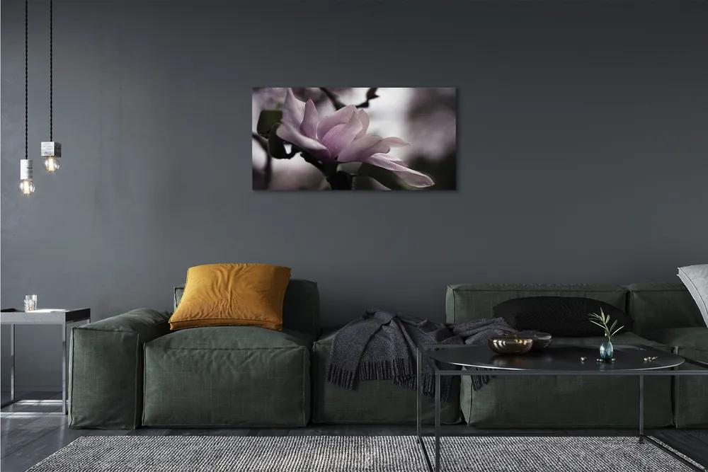 Obraz canvas magnólie 120x60 cm
