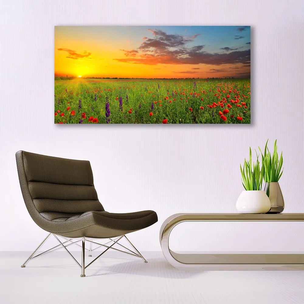 Obraz plexi Slnko lúka kvety príroda 120x60 cm