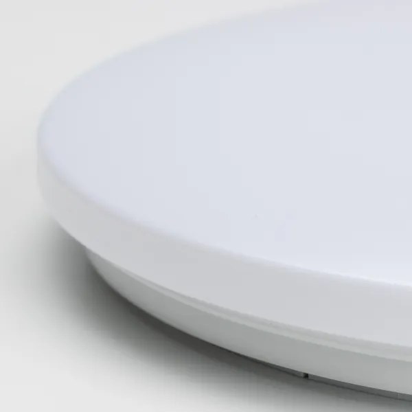 Brilagi - LED Stmievateľné stropné svietidlo OPAL LED/24W/230V 3000/4000/6500K+ DO