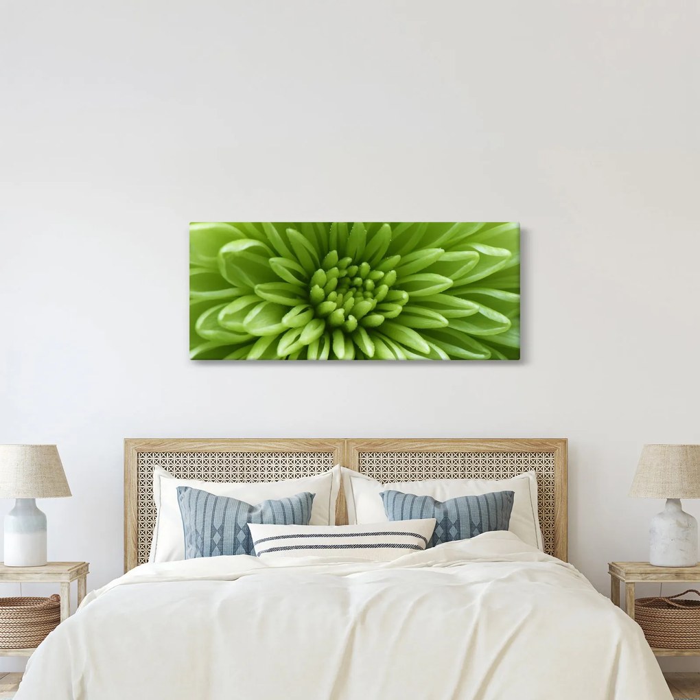 Obraz - Makro snímka rastliny (120x50 cm)