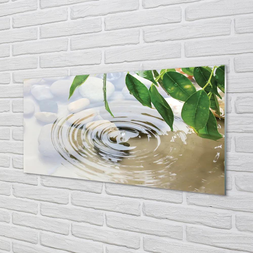 Obraz plexi Pokles striekajúcej vode 100x50 cm