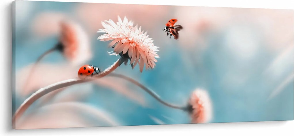 Obraz - Lienky na kvete (120x50 cm)