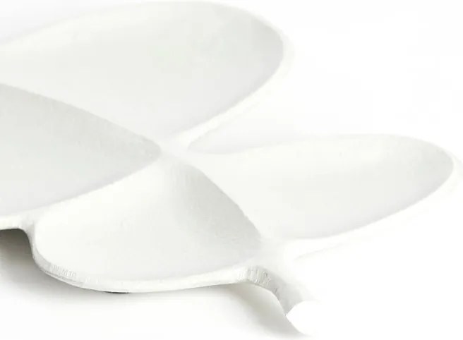 Kovová dekoračná tácka 25x52 cm Akaki – Light & Living