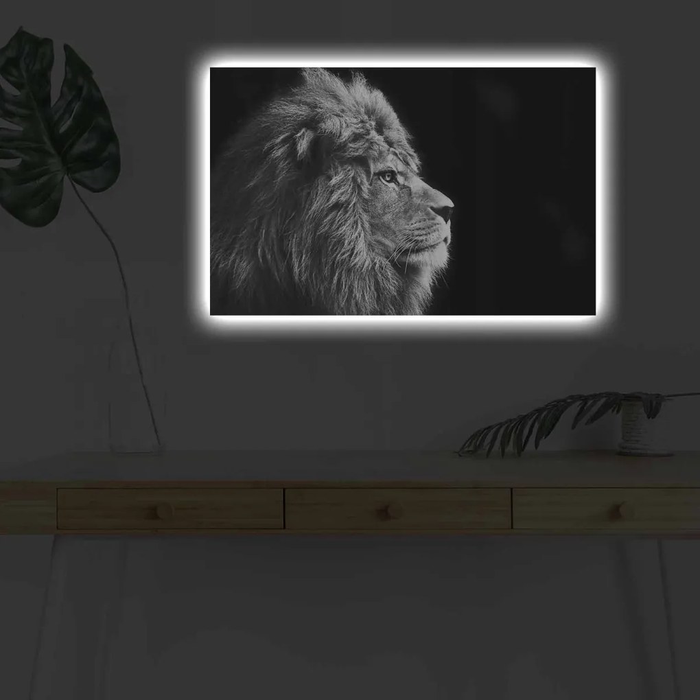 Obraz s LED osvetlením ČIERNOBIELY LEV 58 45 x 70 cm