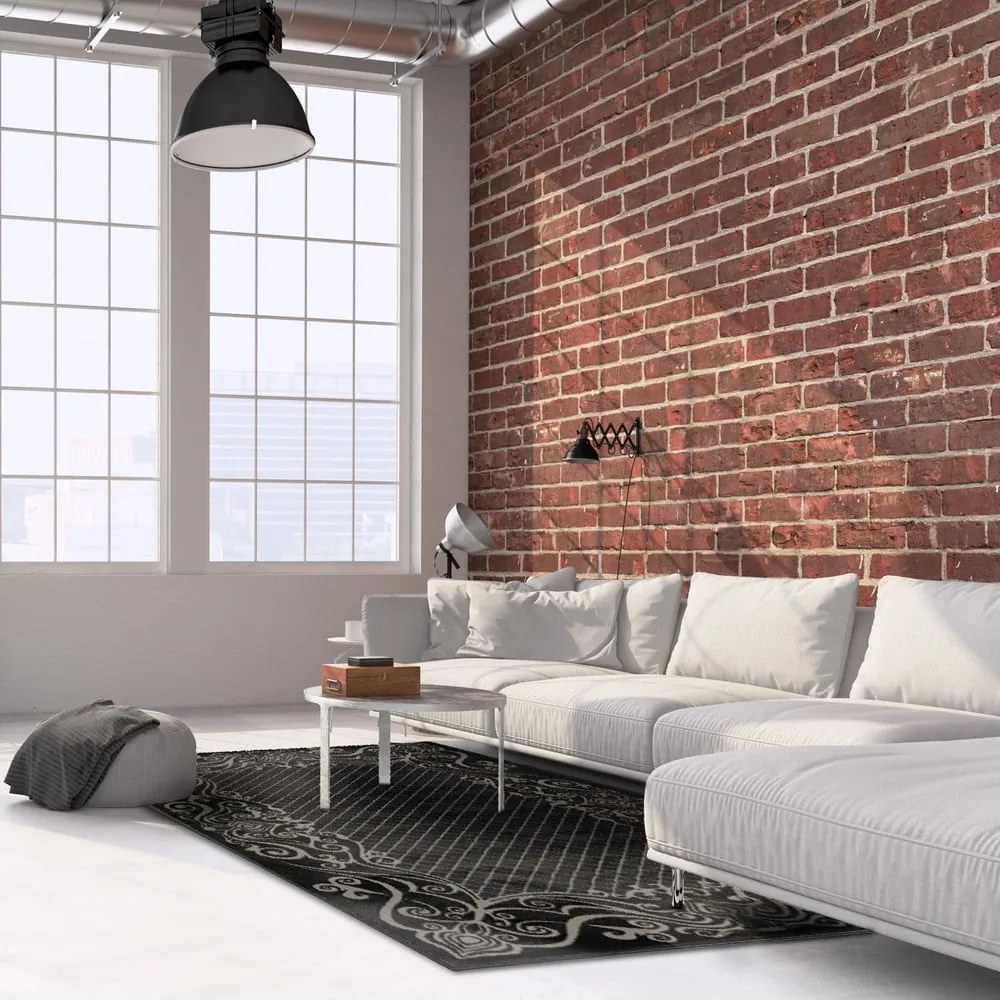 Tmavosivý koberec 133x190 cm Soft – FD