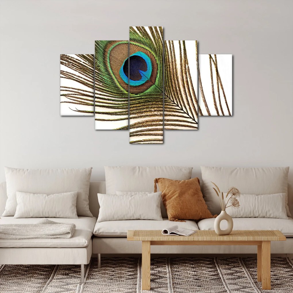 Obraz pávieho peria (150x105 cm)