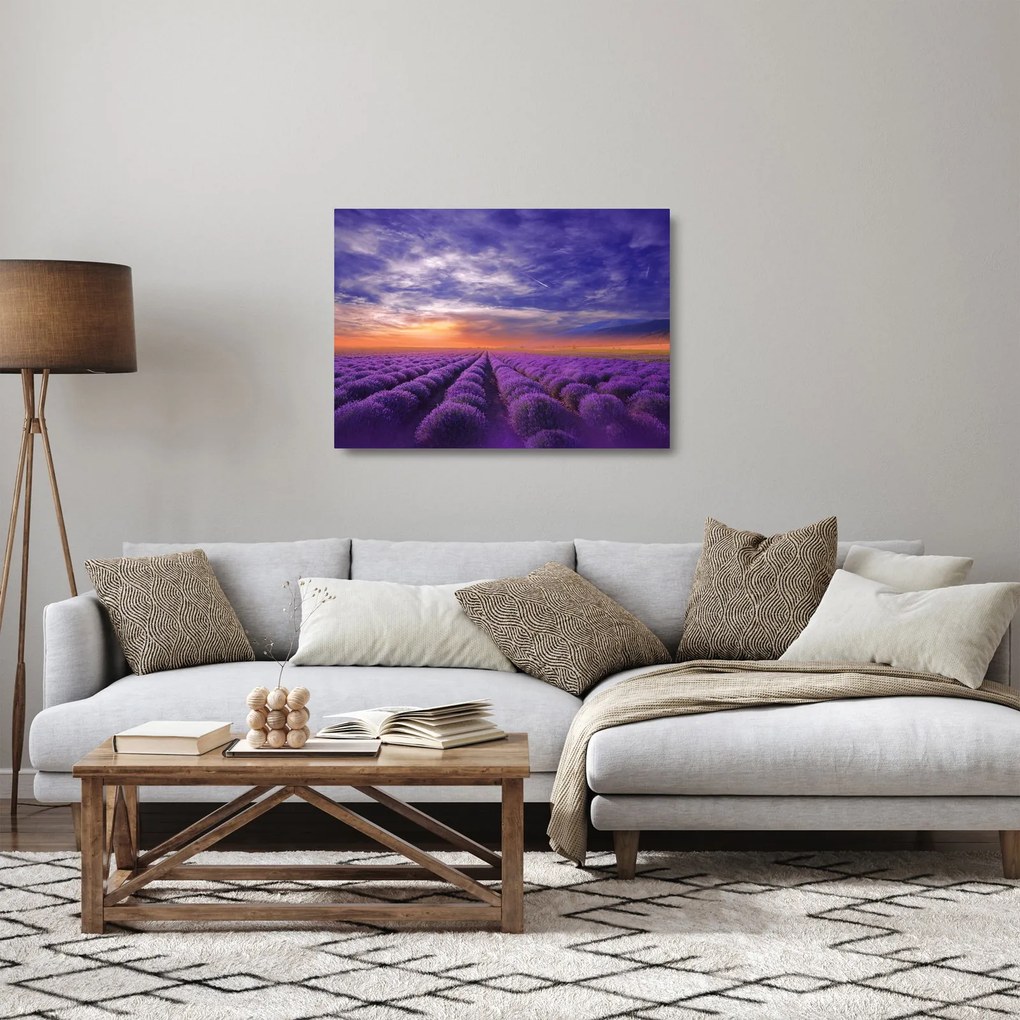 Sklenený obraz levanduľového pole (70x50 cm)