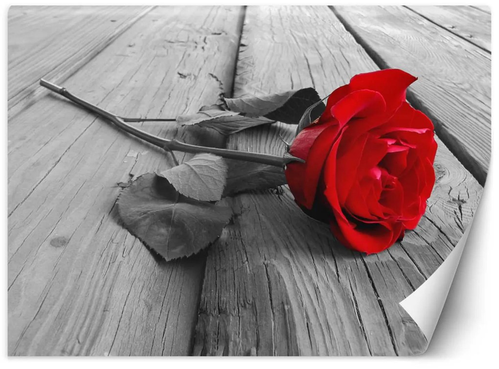 Gario Fototapeta Červená ruža Materiál: Vliesová, Rozmery: 200 x 140 cm