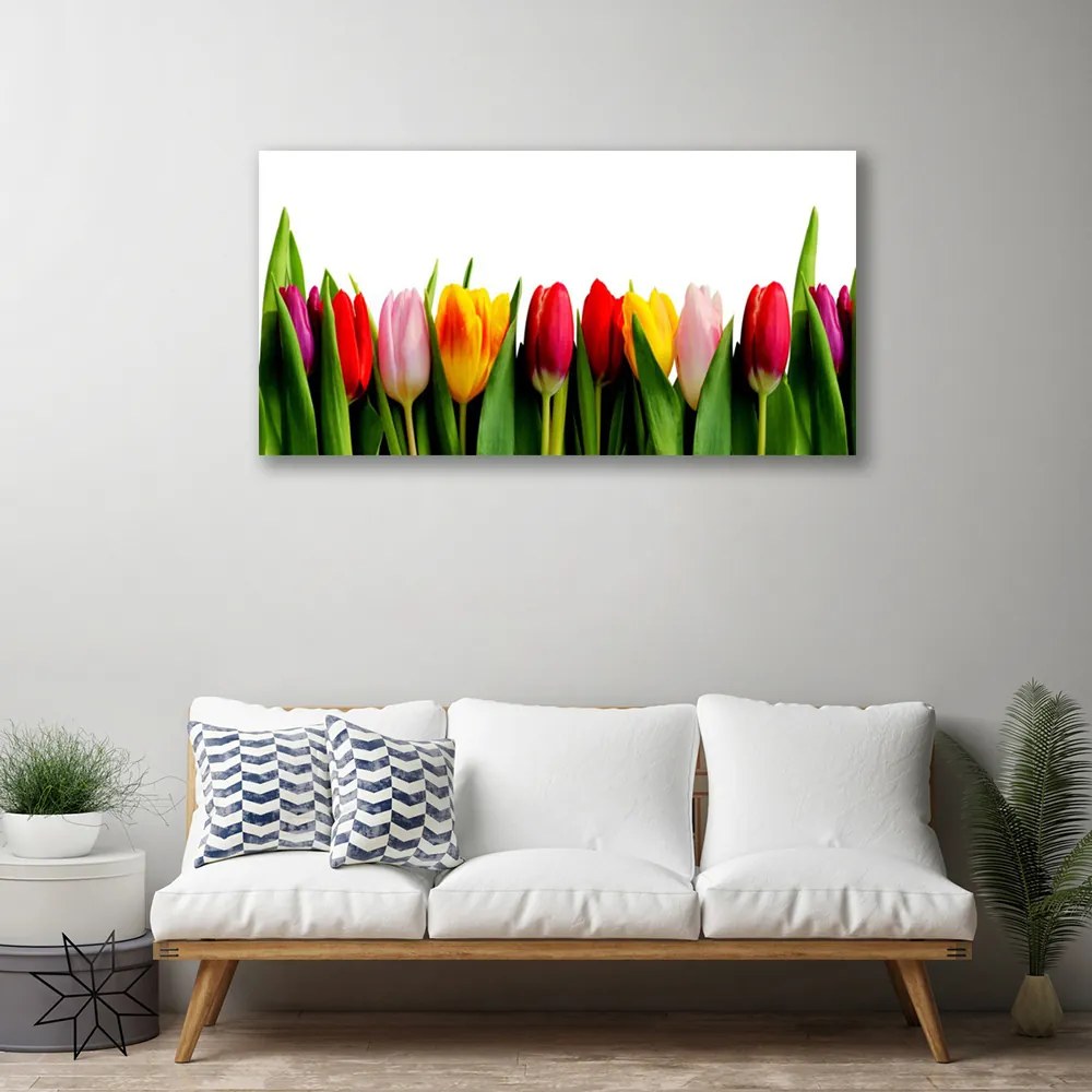 Obraz na plátne Tulipány rastlina 125x50 cm