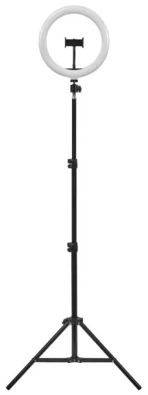 Ledvance - LED Stmievateľná lampa so stojanom a držiakom na vlogovanie LED/6W/USB