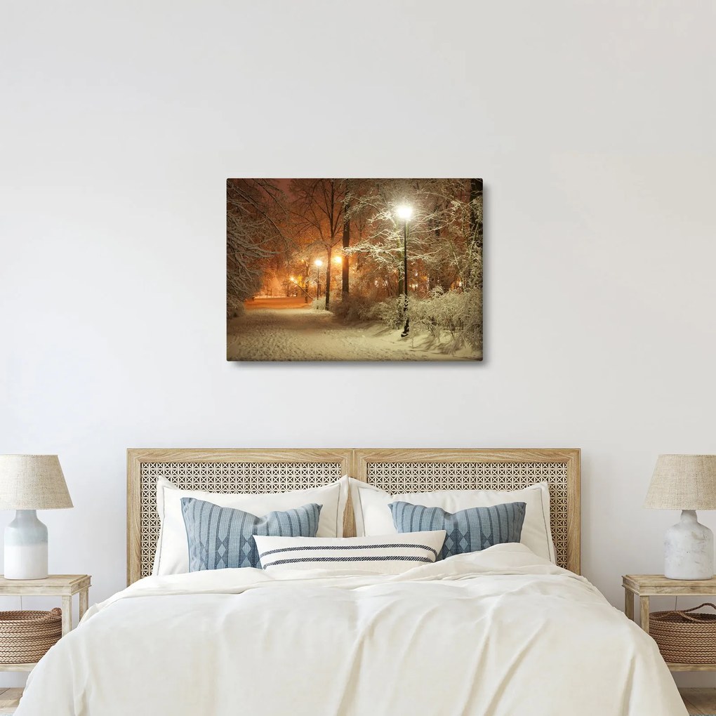 Obraz - Zasnežený park (70x50 cm)