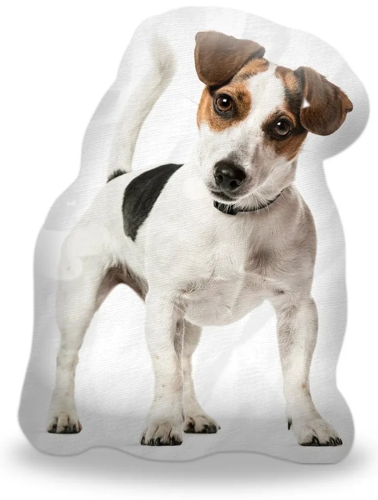 Sablio 3D vankúš Jack russell teriér