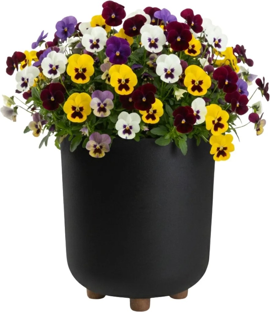 PLASTOVÝ KVETINÁČ TERRA 24X27,5 CM ČIERNA