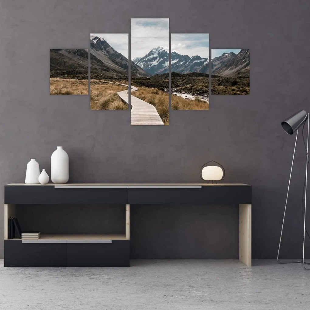 Obraz - Chodník v údolí hory Mt. Cook (125x70 cm), 40 ďalších rozmerov