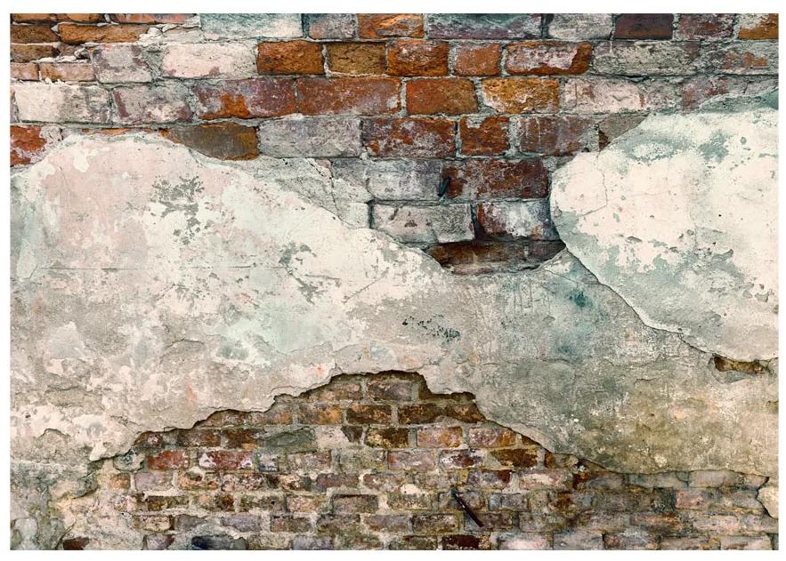 Artgeist Fototapeta - Tender Walls Veľkosť: 250x175, Verzia: Standard